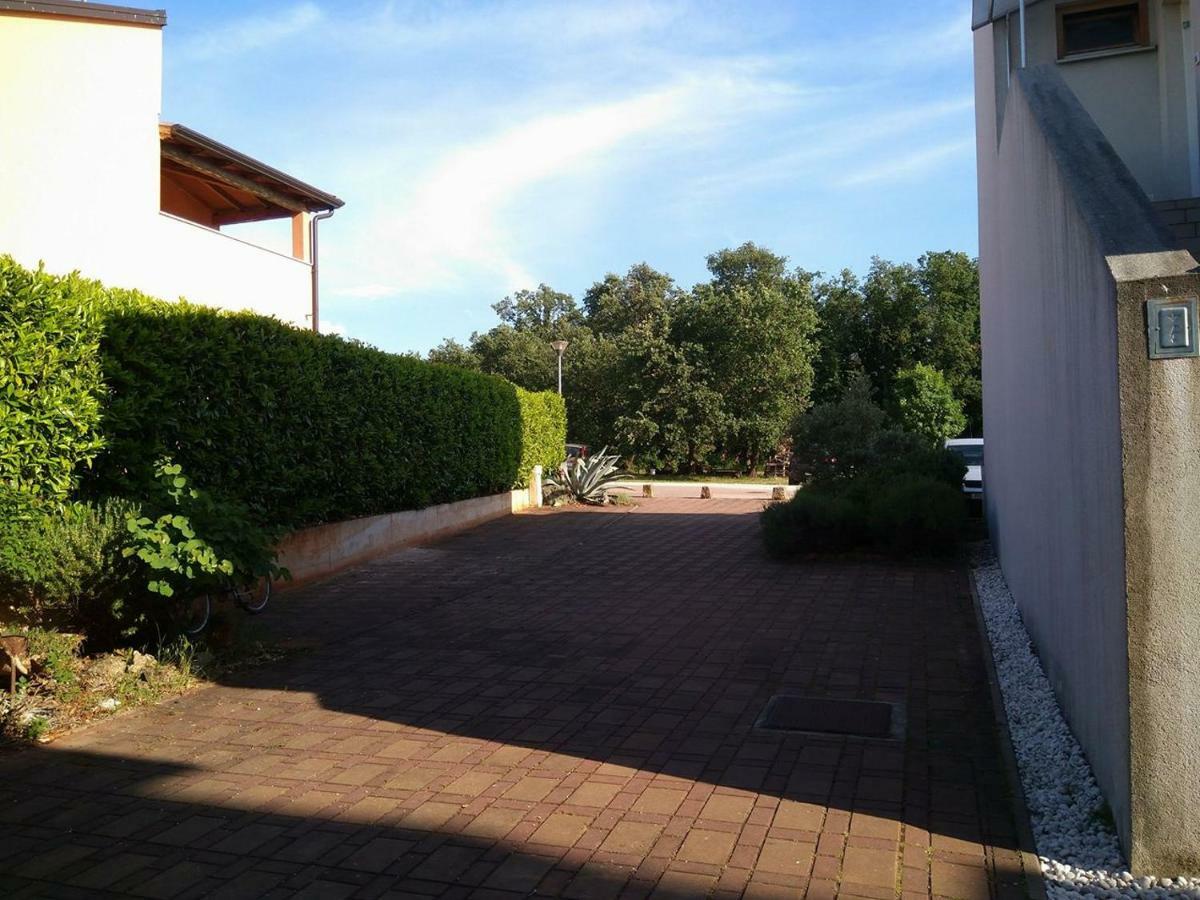 Appartement Medo à Novigrad Istria Extérieur photo