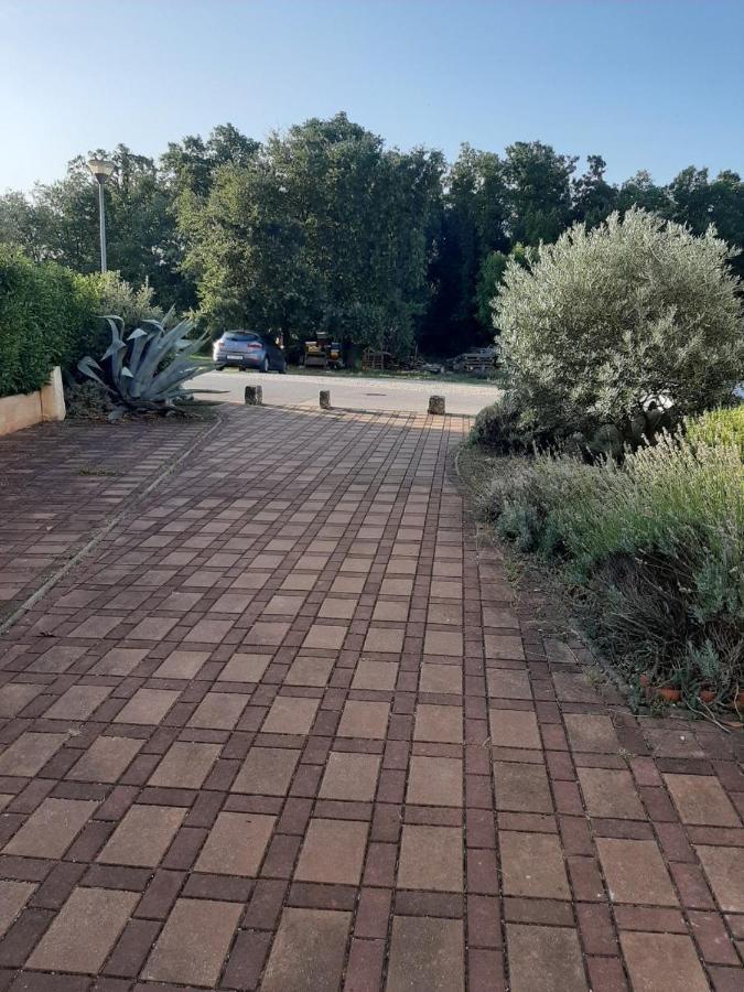 Appartement Medo à Novigrad Istria Extérieur photo